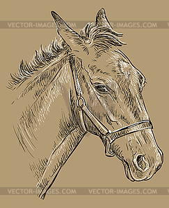 Horse portrait brown 26 - vector clip art