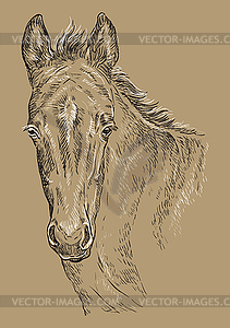 Лошадь портрет коричневый 28 - клипарт в векторе