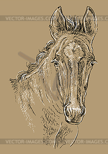 Horse portrait brown 29 - vector image