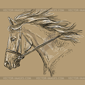 Horse portrait brown 30 - vector clip art