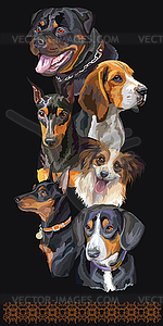 Postcard with dogs of different breeds 11 - vector clipart