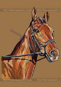 Hand drawing horse portrait 22 - vector clip art