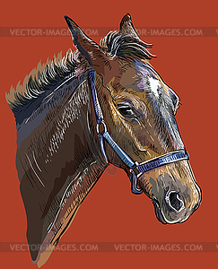 Hand drawing horse portrait 26 - vector clipart