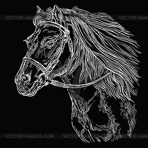 Horse portrait black 21 - vector image
