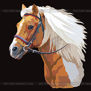 Colorful horse portrait 21 - vector clip art