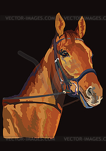 Colorful horse portrait 22 - vector clipart / vector image