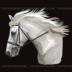 Colorful horse portrait 30 - vector clipart