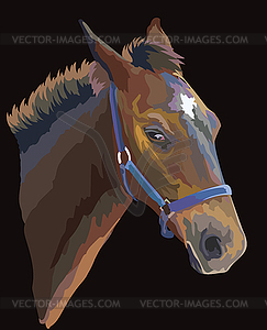 Colorful horse portrait 26 - color vector clipart