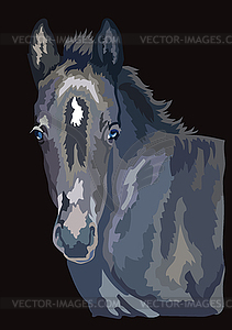 Colorful horse portrait 28 - vector image