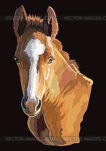 Colorful horse portrait 29 - vector clipart