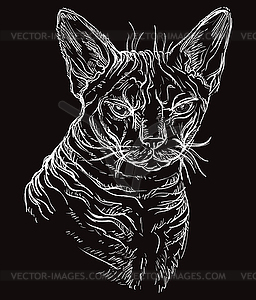 Черная кошка портрет - векторный дизайн