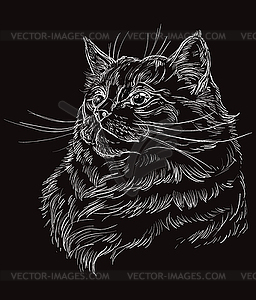 Black cat portrait 10 - vector image