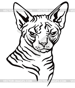 Decorative portrait of Cat  - vector clipart