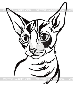 Decorative portrait of Cat  - vector image