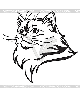 Decorative portrait of Cat 10 - vector image