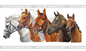 Horses in bridle  - vector image