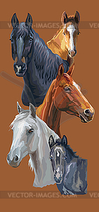 Postcard with horses  - color vector clipart