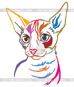 Colorful decorative portrait of Cat  - vector clipart