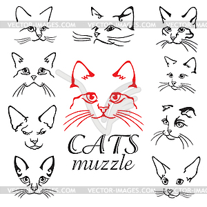 Набор кошек - иллюстрация в векторе