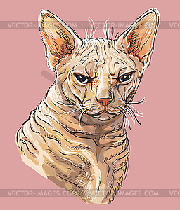 Hand drawing colorful cat  - royalty-free vector image