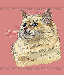 Hand drawing colorful cat 10 - vector image