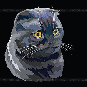 Colorful cat  - vector image