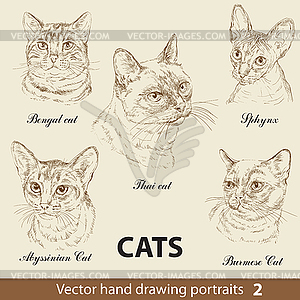 Set of hand drawing cats  - vector clip art