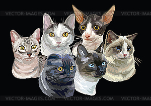 With cats black - vector image