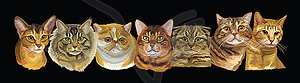 Long with cats - vector clipart / vector image