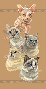 Poster with cats - vector image