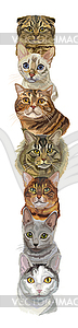 Vertical with cats - vector image