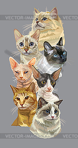 Vertical poster with cats - vector clipart