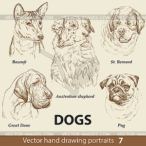 Набор рисования собак - иллюстрация в векторе