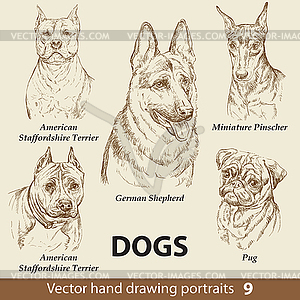 Set of hand drawing dogs - vector EPS clipart