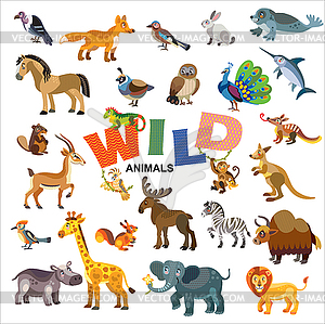 mammals clipart