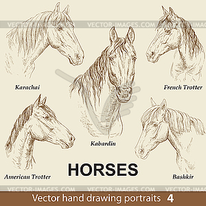 Set of hand drawing horses  - vector clip art