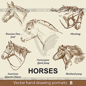 Set of hand drawing horses  - vector clipart