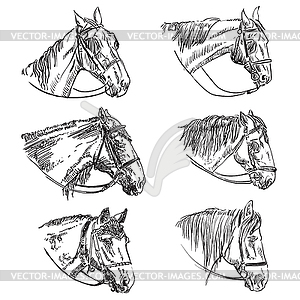 Set of hand drawing horses  - vector clip art