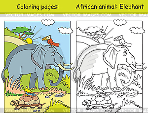 Coloring and color elephant - vector clipart