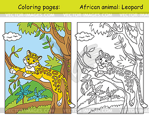 Coloring and color leopard - vector image