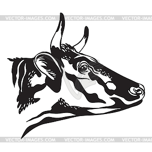 Contour portrait of bull in profile - vector clipart