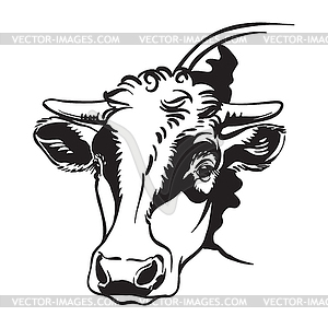 Black contour portrait of bull - vector image