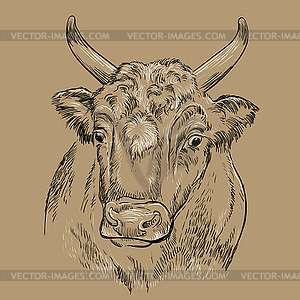 Surprised head of bull hand drawing - vector image