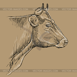 Thoughtful portrait of bull hand drawing brown - vector clipart