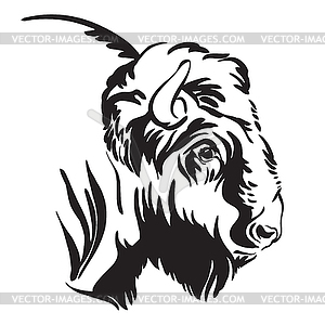 Abstract contour portrait of bison - vector clip art