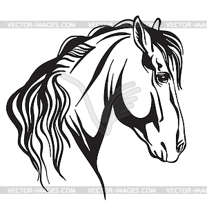 Abstract portrait of black contour horse - vector clip art