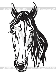 Beauty portrait of line black contour horse - vector clipart