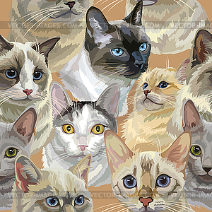 Semless pattern colorful realistic cats heads - vector clipart