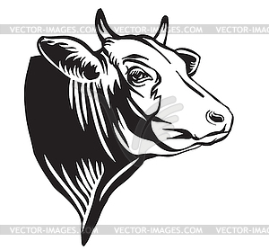Engraving contour portrait of bull in profile - vector image