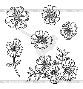 Line art set of buttercup flowers - vector clip art